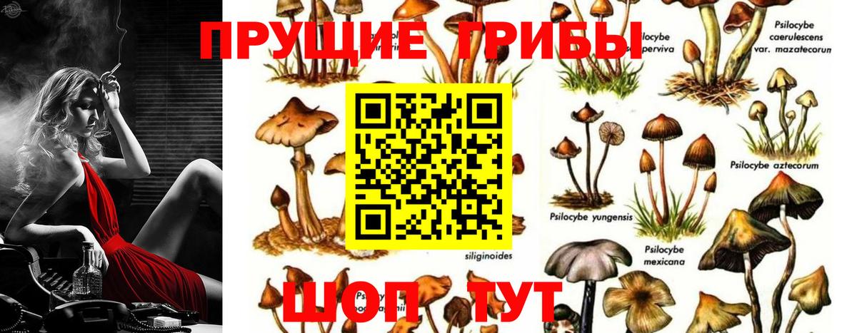 Галлюциногенные грибы прущие грибы Полысаево